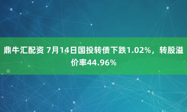 鼎牛汇配资 7月14日国投转债下跌1.02%，转股溢价率44.96%
