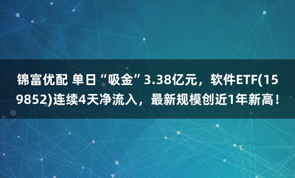 锦富优配 单日“吸金”3.38亿元，软件ETF(159852)连续4天净流入，最新规模创近1年新高！